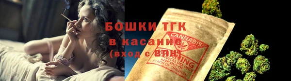 молекула духа Краснослободск