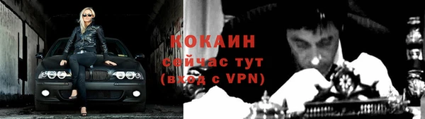 молекула духа Краснослободск