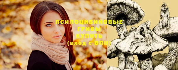 молекула духа Краснослободск
