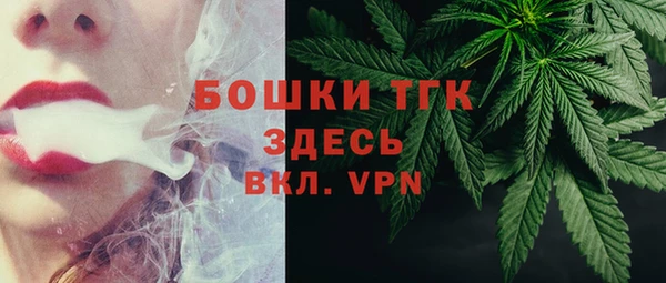 молекула духа Краснослободск
