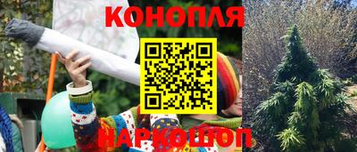 стафф Донской