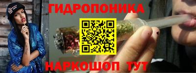 стафф Донской