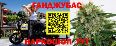 стафф Донской