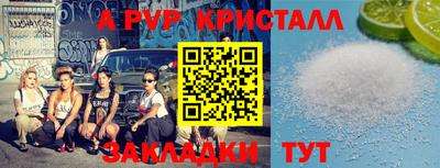 стафф Донской