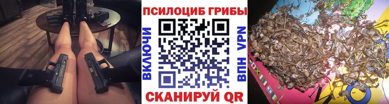 Галлюциногенные грибы Magic Shrooms Вологда